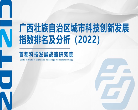 插入骚逼视【成果发布】广西壮族自治区城市科技创新发展指数排名及分析（2022）